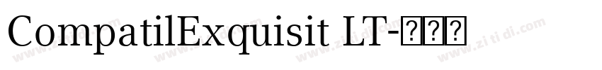CompatilExquisit LT字体转换 CompatilExquisit LT字体转换